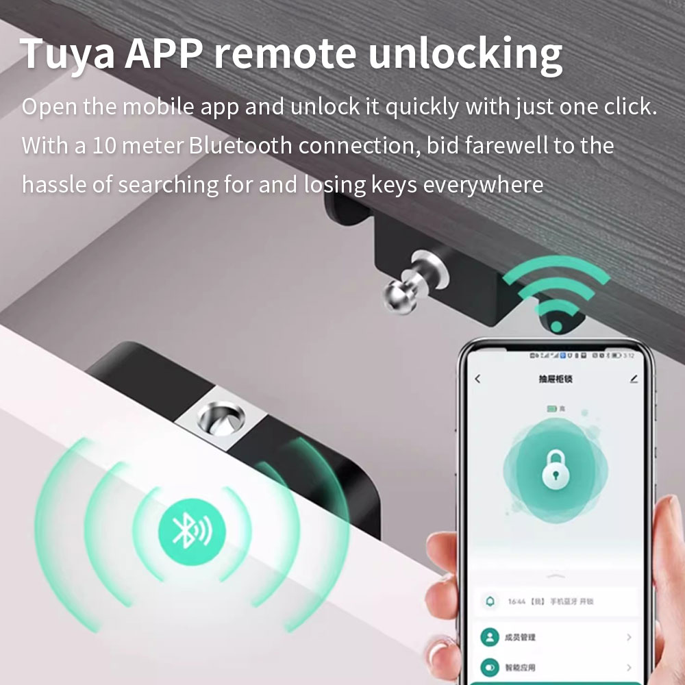 Tuya Hidden Cabinet Lock RFID  - огляд і ціна Woodworking Box